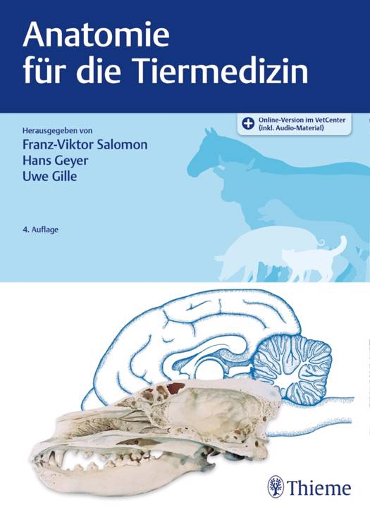 Anatomie Für Die Tiermedizin Klasse B